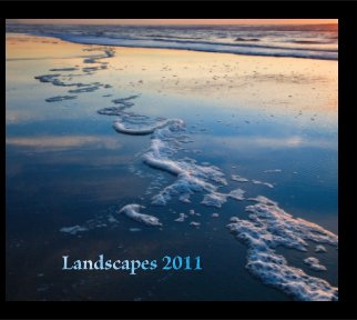 Landscapes 2011 book cover