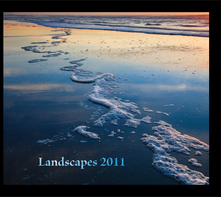 View Landscapes 2011 by John Lund