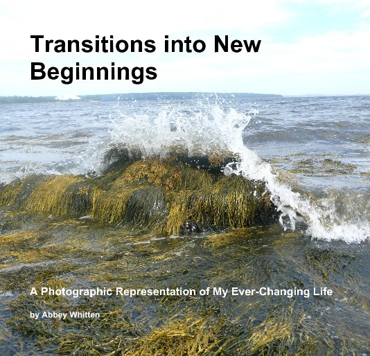 View Transitions into New Beginnings by Abbey Whitten