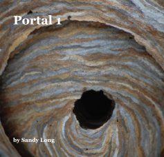 Portal 1 book cover