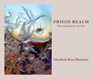 Frigid Realm book cover