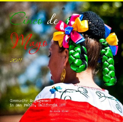 Cinco de Mayo 2011 book cover