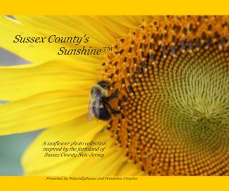 Sussex County's Sunshine™ book cover