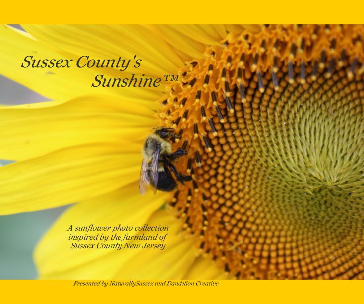 Ver Sussex County's Sunshine™ por NaturallySussex and Dandelion Creative