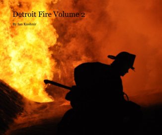 Detroit Fire Volume 2 book cover