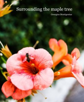 Surrounding the maple tree book cover