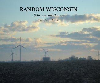RANDOM WISCONSIN book cover