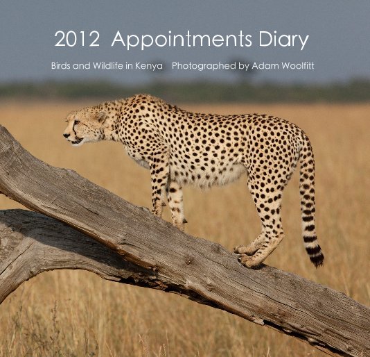 View 2012 Appointments Diary by Adam Woolfitt