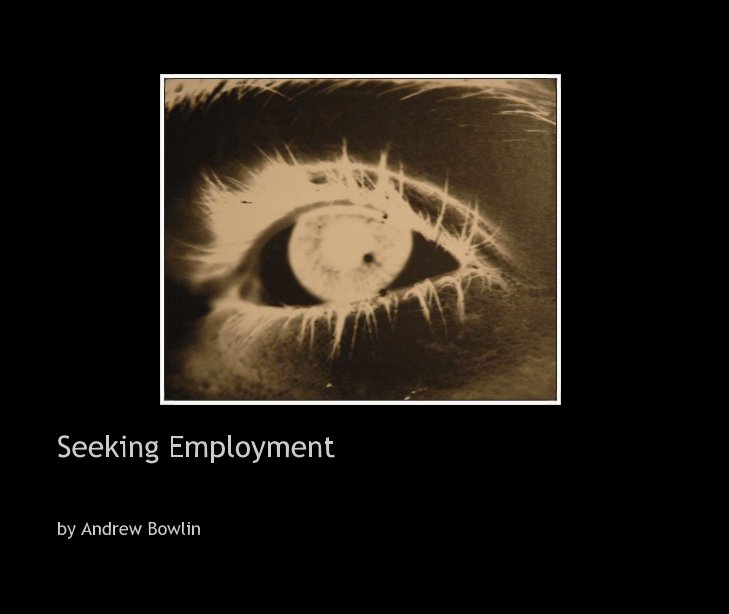 View Seeking Employment by Andrew Bowlin