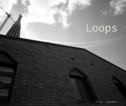 Loops book cover