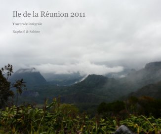 Ile de la Réunion 2011 book cover