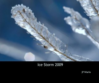Ice Storm 2009 book cover