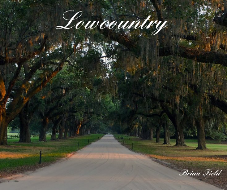 View Lowcountry by Brian Field