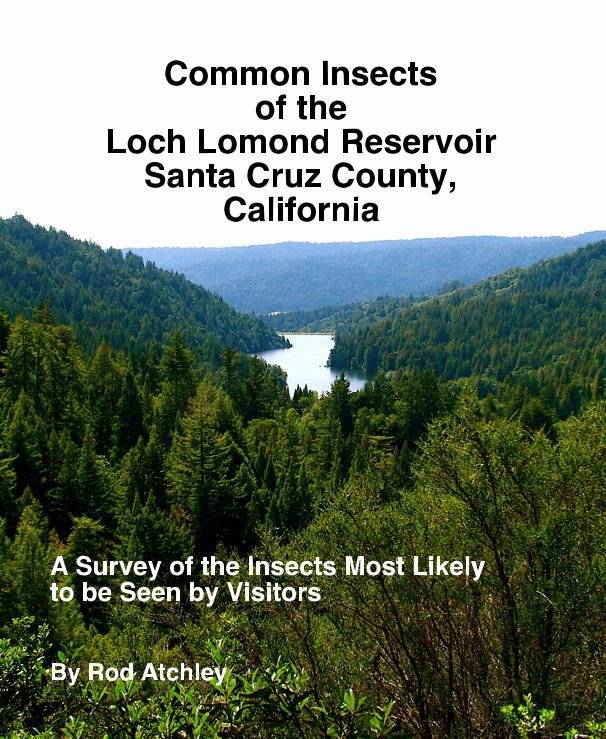 View Common Insects of the Loch Lomond Reservoir Santa Cruz County, California by Rod Atchley