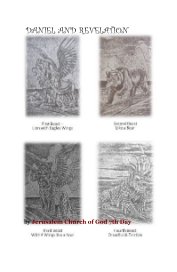 DANIEL AND REVELATION book cover