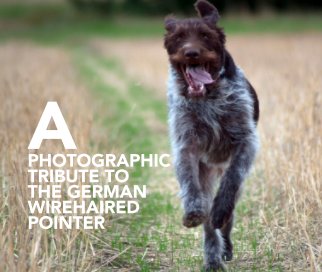 A Photographic Tribute to the German Wirehaired Pointer book cover