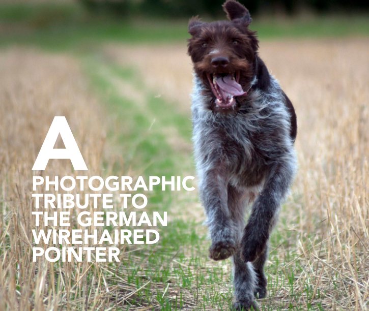 Visualizza A Photographic Tribute to the German Wirehaired Pointer di Mary Murray