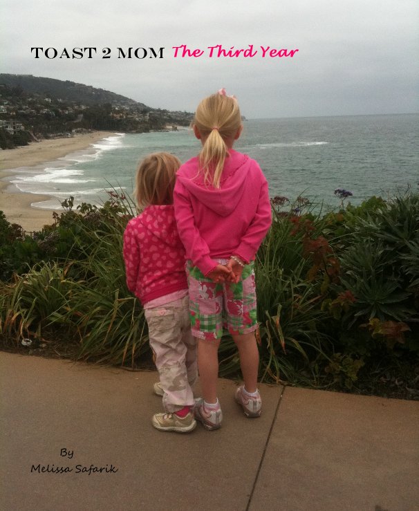 View Toast 2 Mom The Third Year by Melissa Safarik
