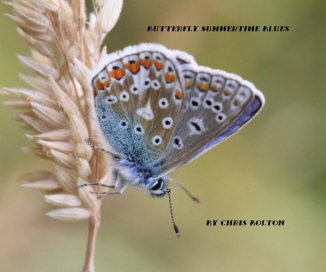 Butterfly Summertime Blues By Chris Bolton book cover