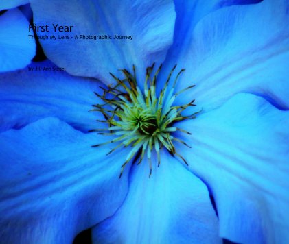 First Year Through My Lens - A Photographic Journey book cover