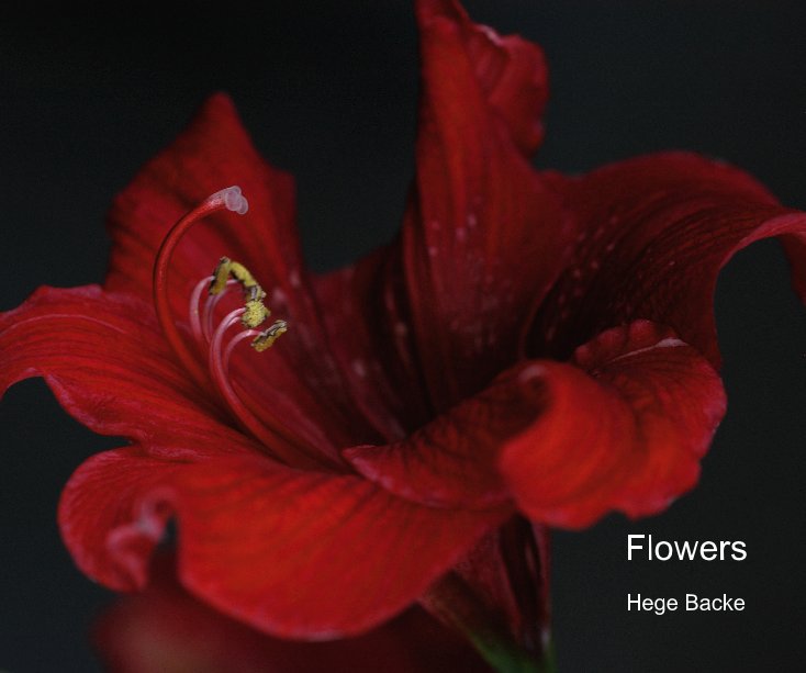 Ver Flowers por Hege Backe