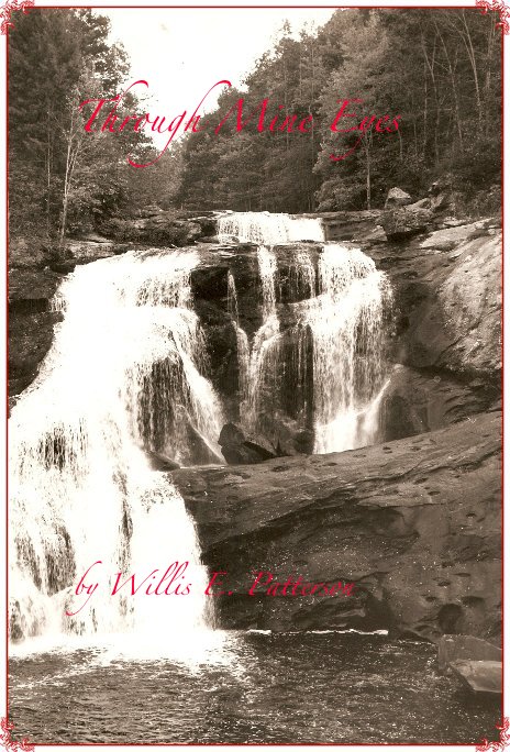 View Through Mine Eyes by Willis E. Patterson