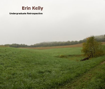 Erin Kelly book cover