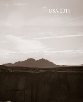 USA 2011 book cover