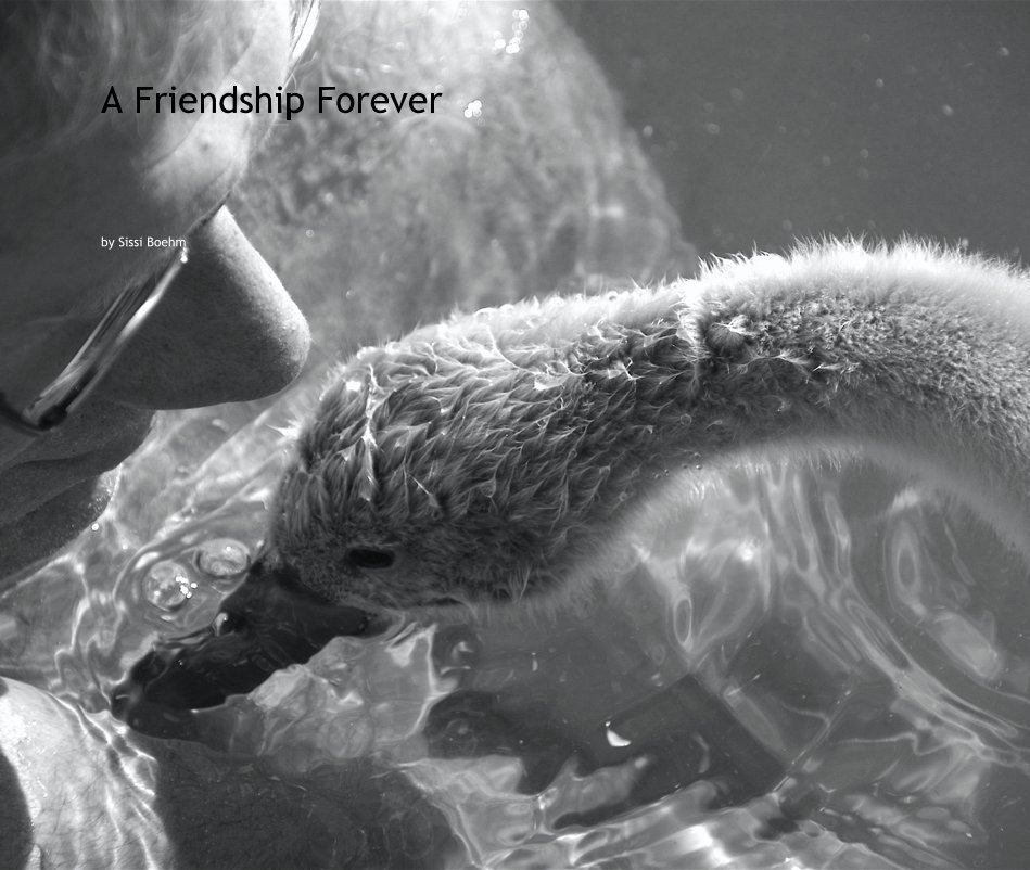 View A Friendship Forever by Sissi Boehm