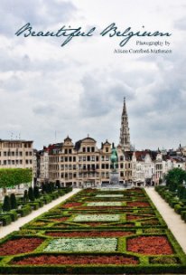 The Beautiful Belgium Notebook book cover