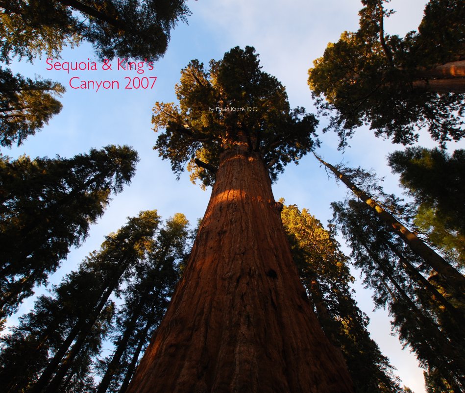 Ver Sequoia & King's Canyon 2007 por David Kanze, D.O.