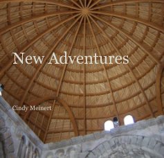 new adventures 2 book cover