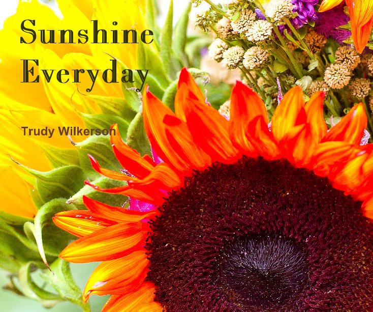 View Sunshine Everyday by Trudy Wilkerson