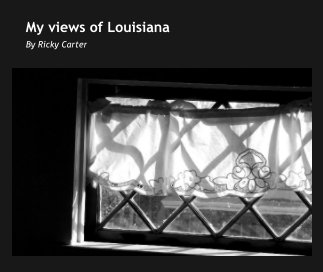My views of Louisiana book cover
