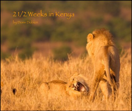 2 1/2 Weeks in Kenya by Donn Dobkin book cover