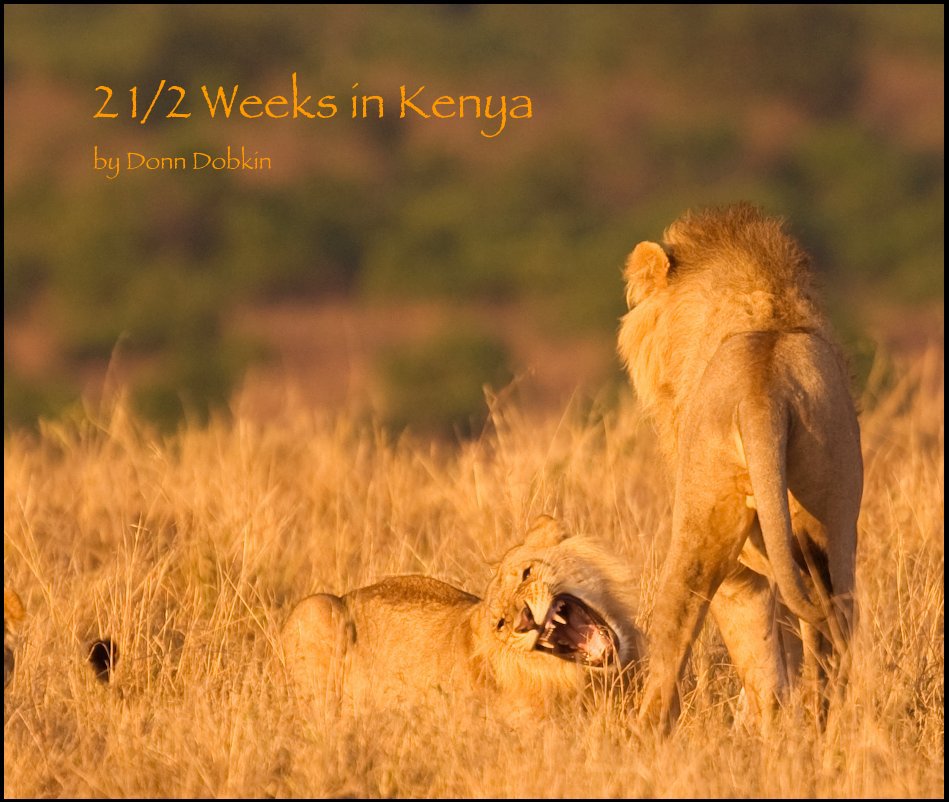 View 2 1/2 Weeks in Kenya by Donn Dobkin by Donn Dobkin