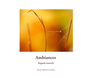 Ambiances book cover