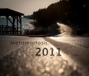 More 2011 book cover