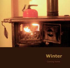 Winter book cover