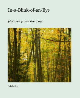 In-a-Blink-of-an-Eye book cover