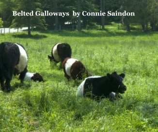 Belted Galloways by Connie Saindon book cover