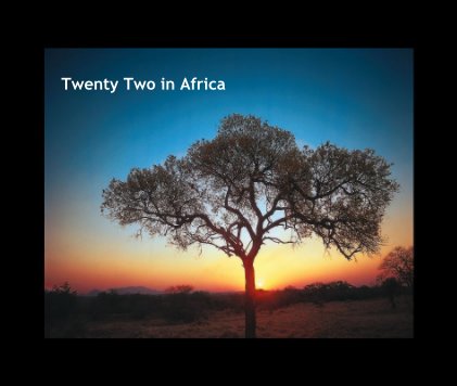 Twenty Two in Africa book cover
