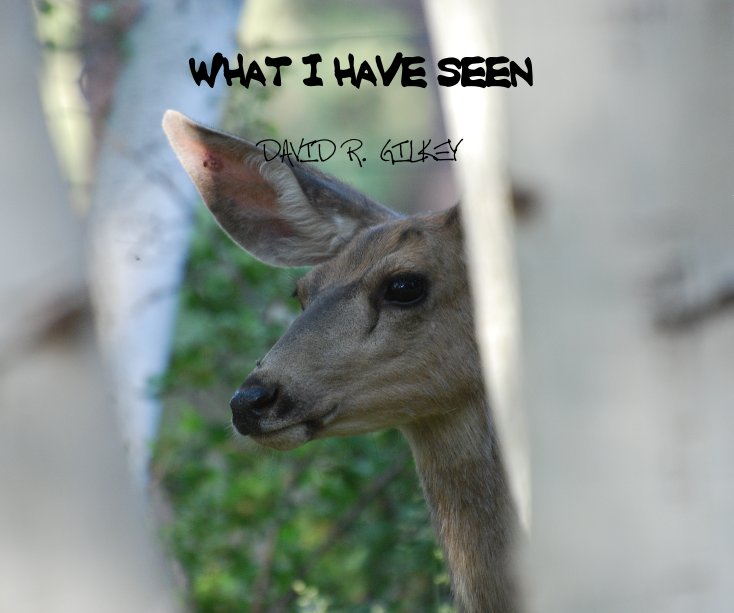 View WHAT I HAVE SEEN by DAVID R. GILKEY