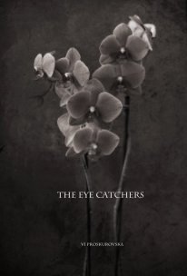 the Eye Catchers book cover
