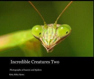Incredible Creatures Two book cover