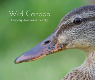 Wild Canada book cover
