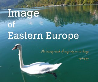 Image of Eastern Europe book cover