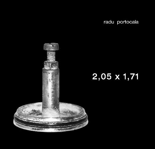 Ver 2,05 x 1,71 por Radu Portocala