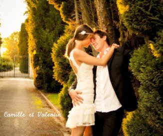 Camille et Valentin (Petit format) book cover