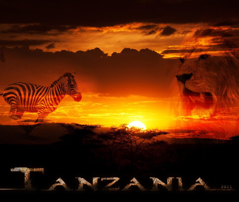View Tanzania by Roberto Petrelli